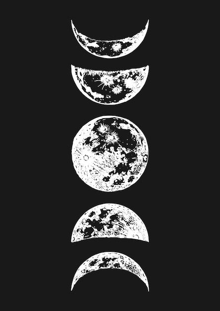 Moon Phases Drawing Illustration, Freedom Collage, Moon Phases Illustration, Moon Phases Drawing, The Moon Illustration, Cycle Drawing, About Moon, Moon Phases Art, Moon Time