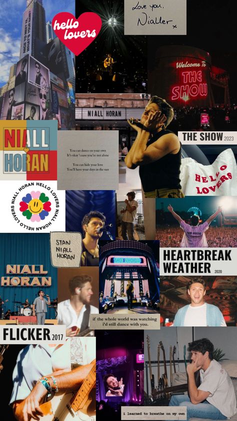 Hello Lover, Irish Princess, One Direction Harry, Dance With You, James Horan, Aesthetic Images, Aesthetic Collage, Niall Horan, Wall Quotes