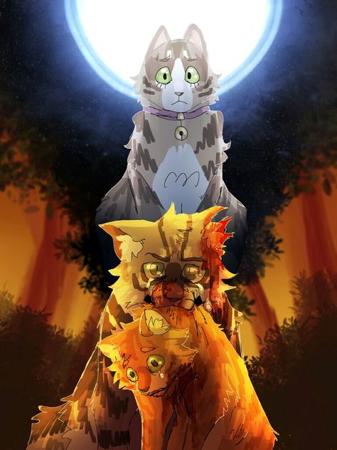 Warriors Erin Hunter, Warrior Cats Comics, Warrior Cats Series, Warrior Cats Books, Warrior Cats Fan Art, Warrior Cat Drawings, Love Warriors, Warrior Cats Art, Breaking In