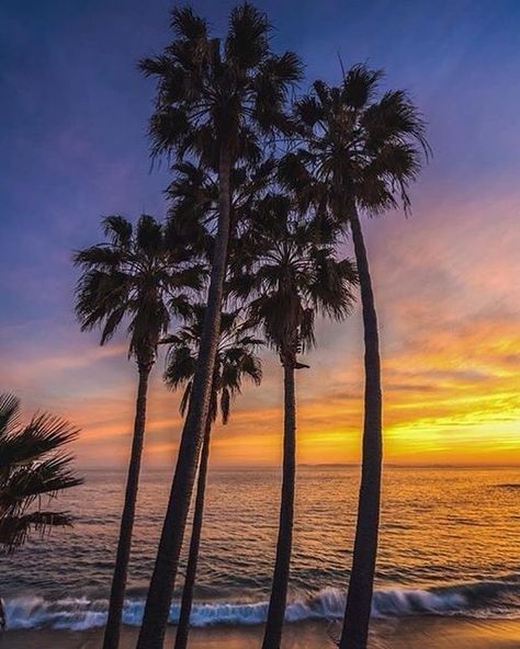 #LagunaBeach #California @erubes1  Tag Or DM us to be featured! Bali Legian, Legian Bali, Honeymoon Places, Legian, Honeymoon Travel, Romantic Places, Sun Sets, Bali Travel, Round Trip