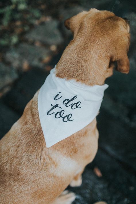 I do too wedding bandana dog of honor engagement bandana | Etsy Bandana Photoshoot, Dog Of Honor, Dog Wedding Bandana, Country Western Wedding, Western Themed Wedding, Bandana Tie, Puppy Bandana, Country Theme Wedding, Bandana Dog