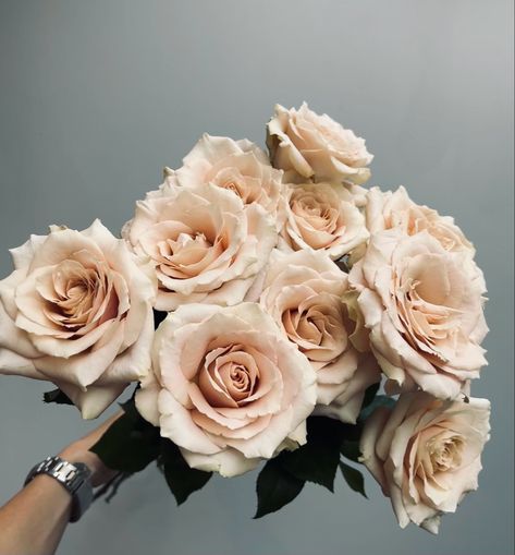 Quicksand roses - the perfect rustic neutral rose - stunning Beige Roses, Mallorca Wedding, Grey Knights, Wedding Rose, January 2025, Rose Wedding Bouquet, Ivory Roses, Story Board, Cream Roses