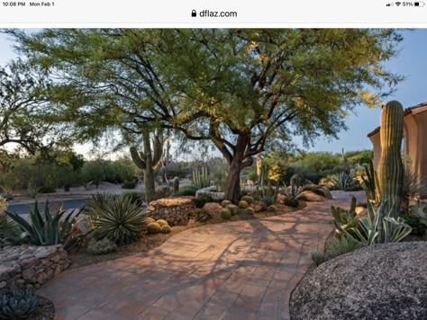 Front Yard Desert Landscaping, Paver Patio Designs, Desert Landscape Front Yard, Desert Ranch, Paver Installation, Desert Landscape Design, Pavers Patio, Ranch Landscaping, Dry Gardens