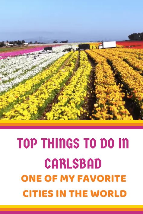 Top things to do in Carlsbad - One of My Favorite Cities in the World. Carlsbad is one of my favorite places, from the incredible weather to the beaches, to the amazing spots to eat there are so mant things to do in Carlsbad. #california #carlsbad Things To Do In Escondido California, Things To Do In Carlsbad California, Carlsbad Village, Camp Pendleton, Carlsbad California, Tahoe California, Baby Moon, California Destinations, Lake Tahoe California