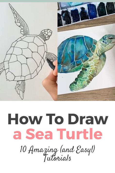 How to Draw a Sea Turtle: The Best 10 Video Tutorials Online with Step by Step Instructions both for Adults and Kids. If you're trying to draw a realistic sea turtle, you'll love these easy tutorials! Drawing Ideas Easy with Pencils, colored pencils and charcoal. Sea Life Drawings Easy, Turtle Painting Acrylic, Draw A Sea Turtle, Draw A Turtle, Sea Turtle Watercolor Painting, Learning Room, Turtle Sketch, Sea Turtle Drawing, Sea Creatures Drawing