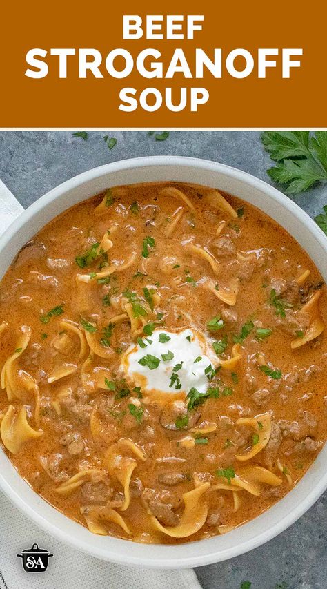 Overhead view of a bowl of Beef Stroganoff Soup Beef Stroganoff Soup, Stroganoff Soup, Egg Noodle Soup, Cozy Winter Meals, Comfort Food Soup, Meals Beef, Room Pinterest, 3d Kitchen Design, Small Kitchen Designs