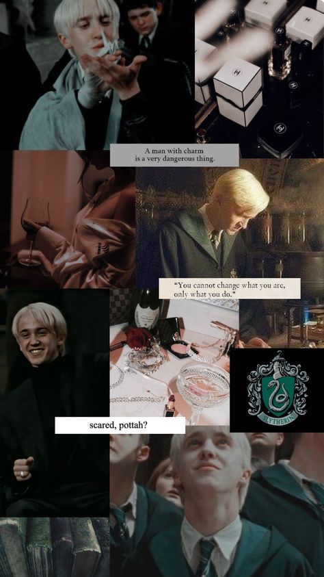 Draco Malfoy Collage Wallpaper, Draco Malfoy Collage, Aesthetic Draco Malfoy, Draco Malfoy Imagines, Draco Malfoy Fanart, Harry Potter Classroom, Draco Malfoy Aesthetic, Lucius Malfoy, Collage Wallpaper