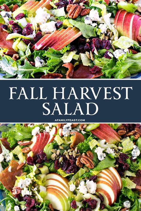 Our Fall Harvest Salad combines crisp salad greens with sweet apples, tart dried cranberries, toasted pecans and pepitos, crispy prosciutto, and gorgonzola cheese, all tossed with a cider maple pomegranate dressing. Harvest Salad Dressing, Harvest Salad Recipes, Family Feast Recipes, Harvest Dinner Party, Harvesting Kale, Fall Harvest Salad, Pomegranate Dressing, Shelled Pumpkin Seeds, Crisp Salad