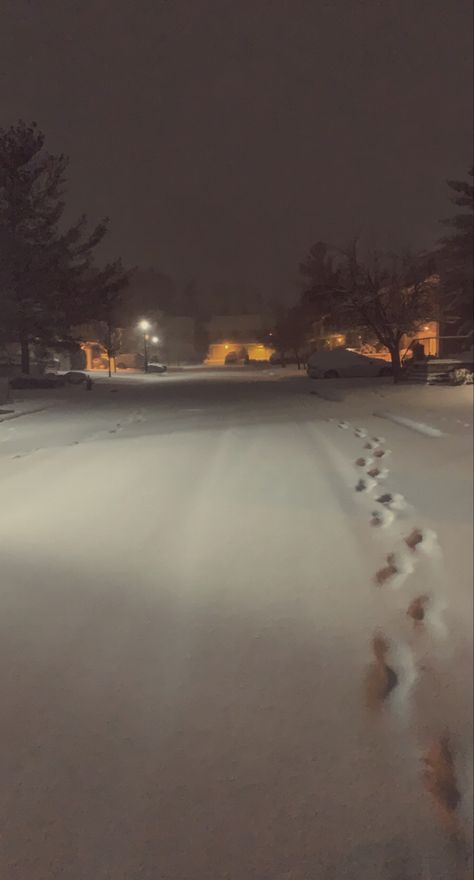 fresh snow after a storm at night Grunge Snow Aesthetic, Fresh Snow Aesthetic, Snow Storm Aesthetic, Winter Snaps, Snow Snap, Winter Snap, Winter Snow Aesthetic, Snow At Night, Snow Outside