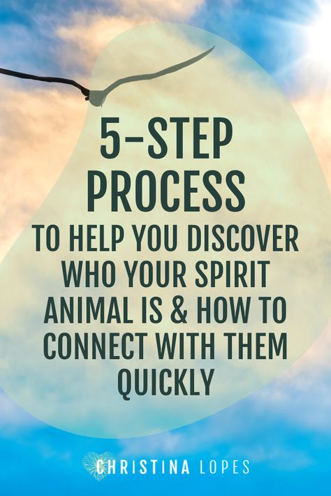 How to call spirit animals. And the simple 5-step process to help you discover who your spirit animal is and how to connect with them quickly. So, you might want to think twice before you take the vacuum to that spider residing in the corner of the room. She could be there to guide you! #mindfulliving #spirituality #spiritanimal | christina-lopes.com Find My Spirit Animal, Animal Spirit, Your Spirit Animal, Spirit Animals, My Animal, Mindful Living, How To Find, Spirit Animal, Find It