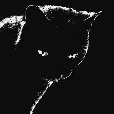 Black Cat Lying Down, Dark Astethic, Gothic Icons, Sigil Tattoo, Blue Emoji, Y2k Profile Picture, Kitty Litter, Insta Icon, Black Cat Art