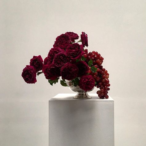 Doctor Cooper - Flowers and Fruit Lisa Cooper, Ikebana Arrangements, Wedding Reception Inspiration, Burgundy Wedding, Arte Floral, Red Wedding, Ikebana, Flower Arrangement, Red Floral