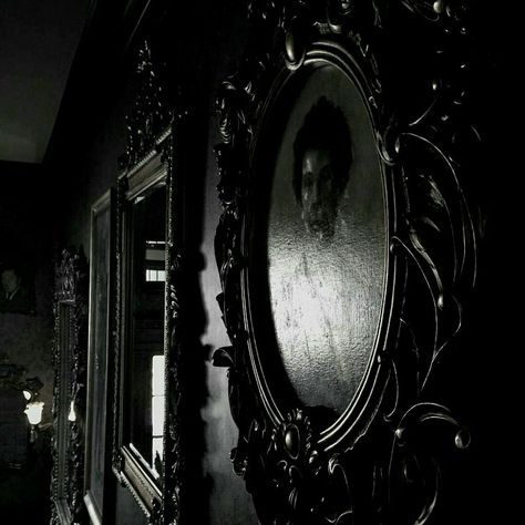 Gothic Ghost Aesthetic, The House Of Black Aesthetic, Walburga Black Aesthetic, The Noble House Of Black Aesthetic, Black Family Aesthetic Harry Potter, Noble House Of Black Aesthetic, Dimitrescu Daughters, Noble Aesthetic, House Of Black