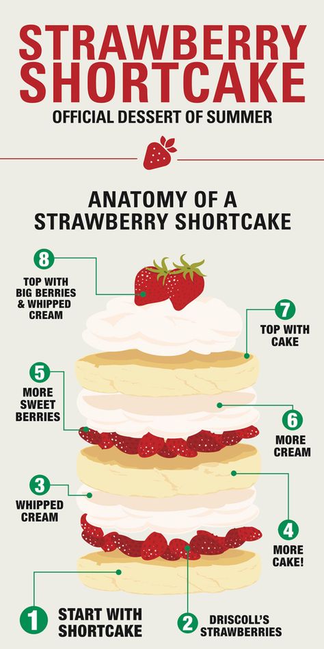 This chart that shows how to assemble a strawberry shortcake: Chocolate Treats Easy, Vegan Cupcake Recipes, Cake Batter Recipes, Famous Desserts, Make Chocolate Chip Cookies, Batter Recipe, Shortcake Recipe, Homemade Cheesecake, Ginger Bread Cookies Recipe