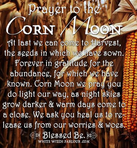 Corn Moon, Season Of Change, The White Witch, Sturgeon Moon, Moon Spells, Happy September, Finding A Hobby, Full Moon Ritual, Hobbies For Men