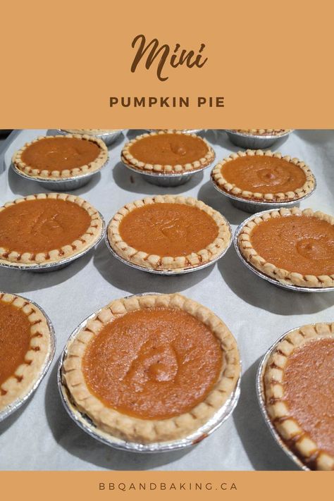 nine mini pumpkin pies Pumpkin Pie Biscuits, Hand Held Pumpkin Pies, Homemade Mini Pumpkin Pies, Pumpkin Pies Recipes Homemade, Small Pumpkin Pie Recipe, Mini Fall Pies, Pumpkin Pie For Two, Pumpkin Pie Mini Pies, Pumpkin Pie Tarts Mini