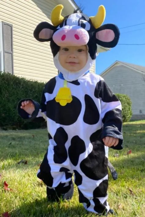 Get ready to be charmed by the cutest herd on the block! We've rounded up the top 5 toddler cow costumes that are udderly adorable and perfect for any occasion, from Halloween to just a daily dose of farmyard fun. These toddler cow costumes are sure to melt hearts and start conversations. Dive in to uncover these bovine beauties. Toddler Spider Costume, Toddler Cow Costume, Toddler Pumpkin Costume, Cow Costumes, Diy Cow Costume, Farm Animal Costumes, Cow Halloween Costume, Baby Animal Costumes, Animal Costumes For Kids