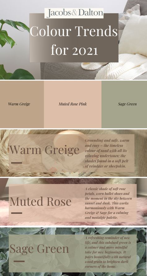 Colour Trends, Interior Colour, Bohol, Color Palette Design, Paint Colors For Home, Room Paint, Colour Schemes, Bedroom Colors, Room Colors