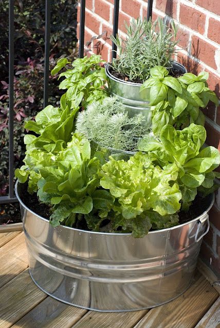 Salad gardening right outside the kitchen door ! Diy Garden Patio, Rosemary Lavender, Container Vegetables, Herb Garden Design, Herb Gardening, Home Grown Vegetables, Container Gardening Vegetables, Garden Containers, Veggie Garden