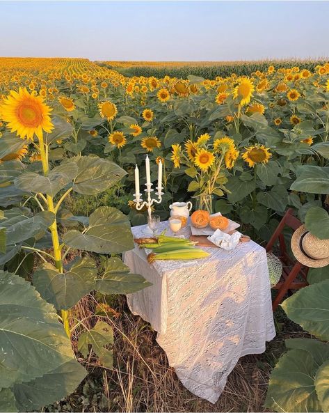 Proposal Pictures, Dream Dates, Picnic Theme, Farm Plans, Sunflower Photo, Picnic Decorations, Spring Outdoor, Pumpkin Farm, Sunflower Field