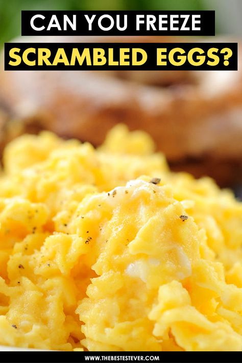 How To Freeze Cooked Eggs, Freezer Eggs Recipes, Make Ahead Eggs Scrambled, Freezing Eggs Cooked, Can You Freeze Scrambled Eggs, Egg Sandwiches To Freeze, Freezer Friendly Egg Recipes, How To Freeze Scrambled Eggs, Freezing Scrambled Eggs