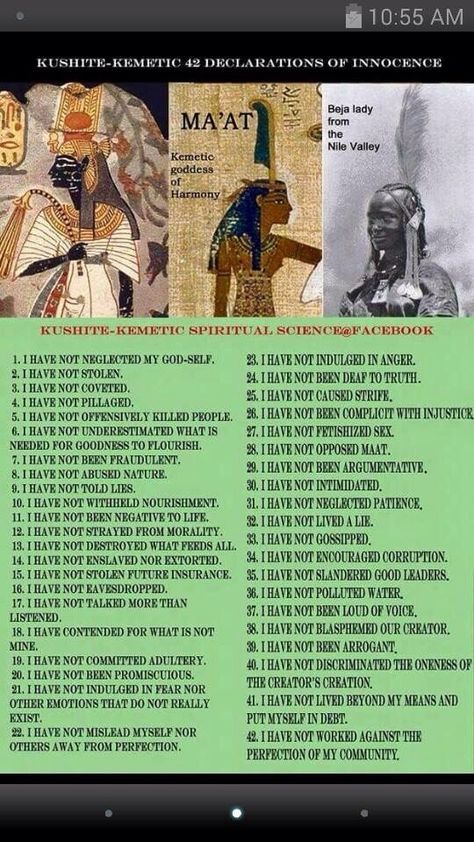 42 Laws Of Maat, Laws Of Maat, Egyptian Facts, Egyptian Poster, Black Education, Kemetic Spirituality, Spiritual Science, Kemet Egypt, Egyptian Museum