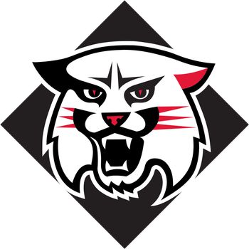 Davidson Wildcats, College Basketball Standings | FOX Sports Davidson College, Wildcats Logo, Logo Evolution, College Colors, University Logo, College Logo, Red Diamond, Sports Svg, Hex Colors