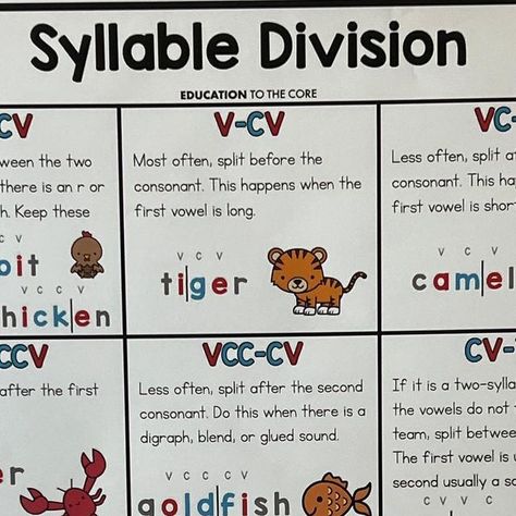 Emily Garcia | Education to the Core on Instagram: "You know we have syllable types posters, but did you know we had syllable division posters?!?! Comment SYLLABLES for the link!" Six Syllable Types, 7 Syllable Types Poster, Syllable Types Activities, Division Posters, Syllable Division Rules, Syllable Division, Syllable Types, Thinking Maps, Type Posters