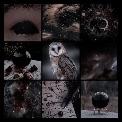 Dark Earth Aesthetic, Aethstetic Moodboard, Cosmic Moodboard, Dark Aesthetic Moodboard, Moon Moodboard Aesthetic, Fantasy Moodboard Aesthetic, Crow Moodboard, Witch Moodboard Aesthetic, Cryptid Moodboard