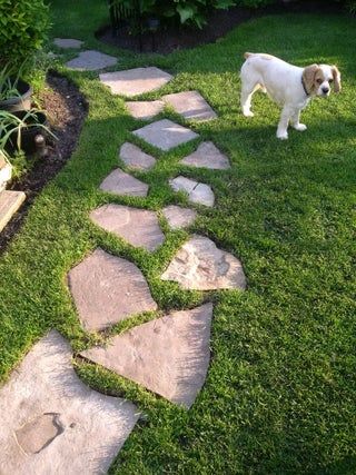 Stepping Stone Path, Stone Backyard, Stepping Stone Pathway, Stepping Stone Walkways, Stepping Stone Paths, Flagstone Walkway, Flagstone Path, Backyard Walkway, Garden Stepping Stones