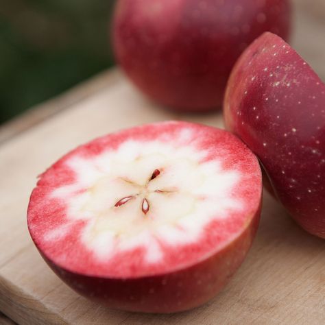 There's Much More To Apples Than Meets The Eye Keeping Heirloom Apples Alive Is 'Like A Chain Letter' Over Many Centuries Farm Fruit, Weird Fruit, Growing Fruit Trees, Rainbow Fruit, Apple Varieties, Growing Fruit, Exotic Fruit, Heirloom Seeds, Fruit And Veg