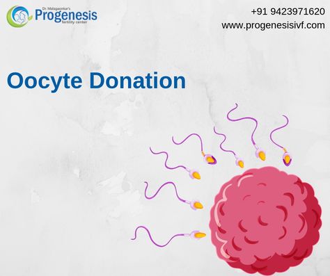 The #eggdonation process enables a woman who cannot get pregnant with her own oocytes to use an egg which is donated by another woman to achieve #pregnancy. The donor is usually known to the woman and in many instances, it’s a close #family member or friend who willingly donates one of their #oocytes for the procedure. Fertilization Process, Ivf Success Rates, Ivf Procedure, Egg Donor, Egg Donation, Ivf Success, Close Family, Fallopian Tubes, Genetic Disorders