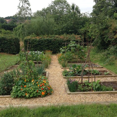 Allotment Bed Ideas, Garden Design With Vegetable Patch, Veggie Patch Ideas Raised Beds, British Vegetable Garden, Vegetable Patch Design, Vegetable Garden Edging Ideas, Cottage Garden Vegetable Patch, Allotment Path Ideas, Vegetable Garden Edging