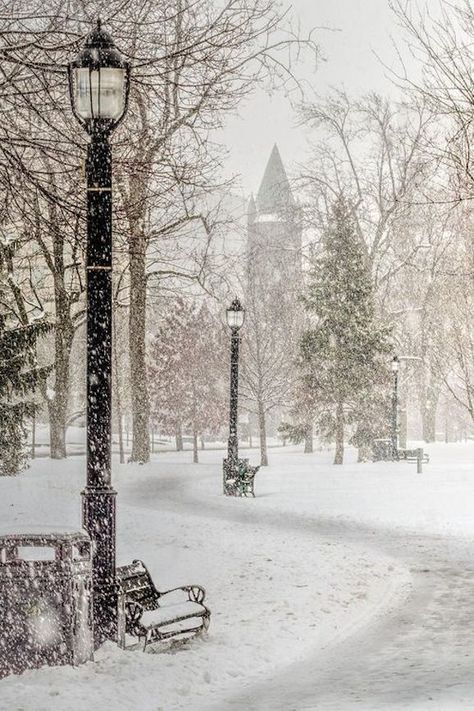 Christmas Invite, I Love Snow, Winter Schnee, Winter's Tale, Victoria Park, Winter Love, Winter Magic, Winter Scenery, Winter Beauty