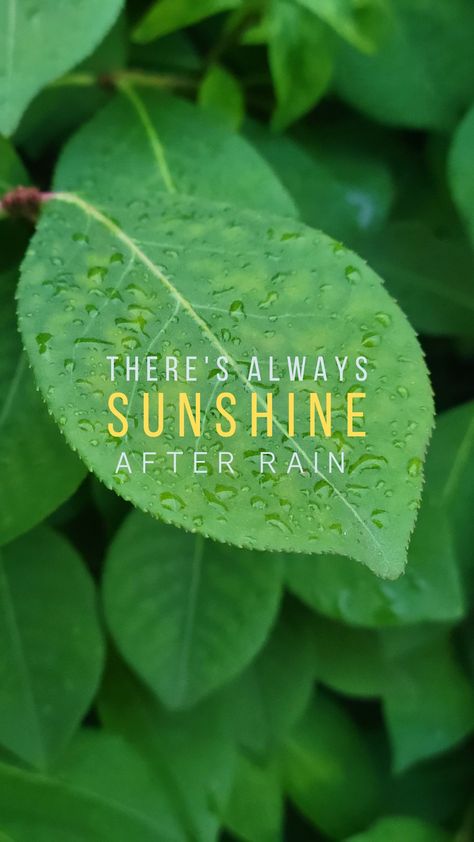 There is always sunshine after rain! #caption #quote #photography #rain #life #nature Come Rain Or Shine Quotes, After Rain Quotes, Sunshine After Rain, Photography Captions, Quote Photography, Photography Rain, Shine Quotes, Rain Quotes, Caption For Girls