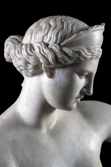 Aphrodite Face Statue, Greek Statues Women Face, Female Greek Statue, Aphrodite Bust, Greek God Sculptures, Venus Sculpture, Aphrodite Statue, Venus Statue, Greek Mythology Humor