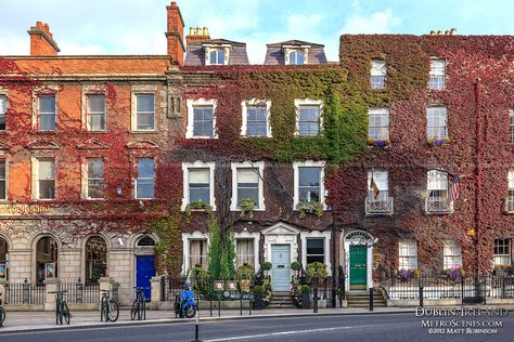 Ivy covers Georgian buildings along St. Stephens Green Georgian Buildings, Dublin House, Saint Stephen, Georgian Architecture, Cliffs Of Moher, Georgian Homes, Republic Of Ireland, Galway, Dublin Ireland