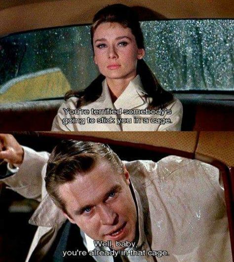 Classic Movie Quotes, Breakfast At Tiffany's, Movie Lines, Film Quotes, Breakfast At Tiffanys, Dirty Dancing, The Wedding Date, Tv Quotes, Movie Buff