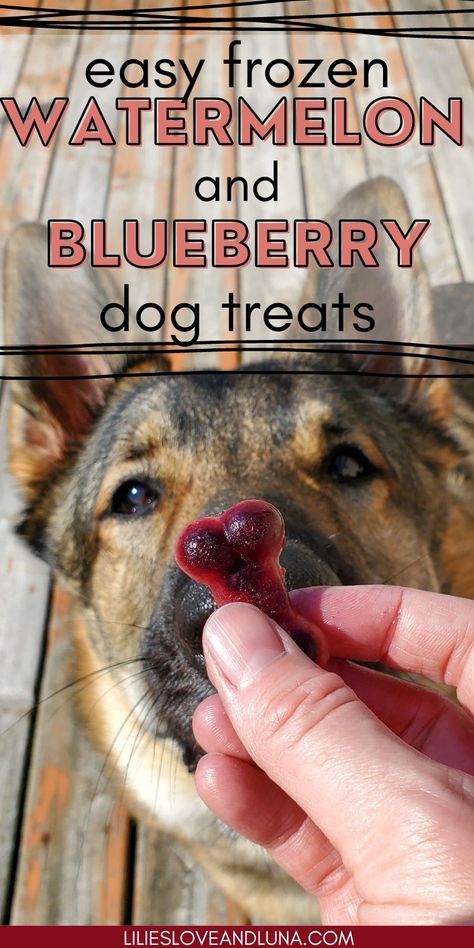 Frozen Apple Treats For Dogs, Puppy Ice Cube Treats, Blueberries For Dogs, Blueberry Dog Treats Recipes, Watermelon Treats For Dogs, Watermelon Dog Treats Frozen, Dog Ice Treats, Dog Ice Cube Treats, Woof Pupsicle Recipes