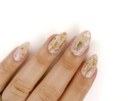 Bespoke Floral Press on Nails - Medium Length Oval Wood Nail Art, Dried Flower Petals, Shop Press, Nail Work, Wood Nails, String Art Patterns, Orange Wood, Nails Medium, Nail Buffer