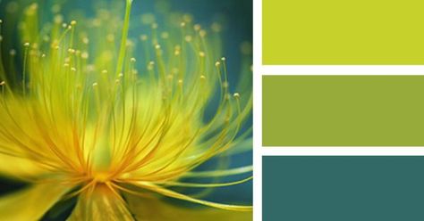 Lemon Lime Color Palette, Lime Colour Palette, Lime Color Palette, Lime Palette, Color Schemes Colour Palettes, Colour Combos, Design Seeds, Color Balance, Color Palette Design