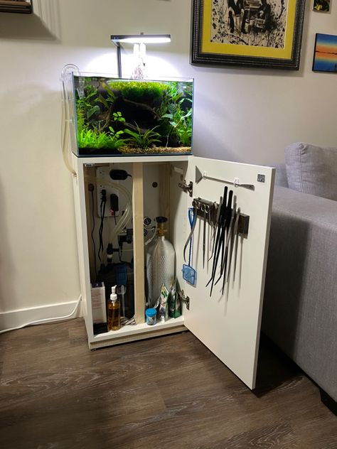 Fish Tank On Shelf, Aquarium Supplies Organization, Mini Aquarium Design, Fish Tank Set Up, Aquarium Stand Ideas, Aquarium Shelf, Fish Tank Diy, Fish Tank Themes, Fish Tank Terrarium