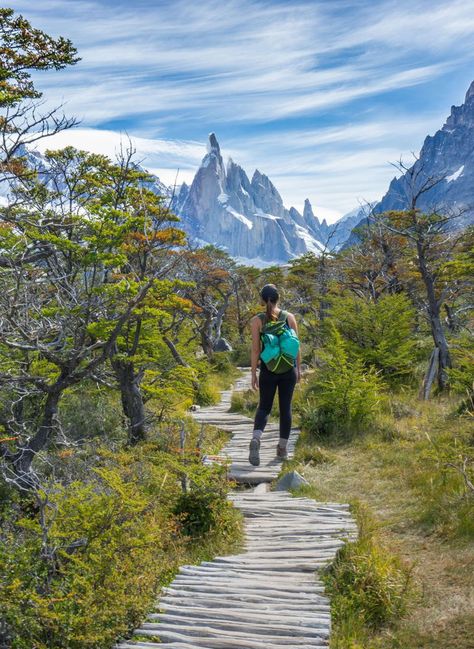 hiking poles Holidays Destinations, Wander Outfit, Patagonia Travel, Chile Travel, Hiking Guide, Argentina Travel, Ushuaia, Destination Voyage, Travel South