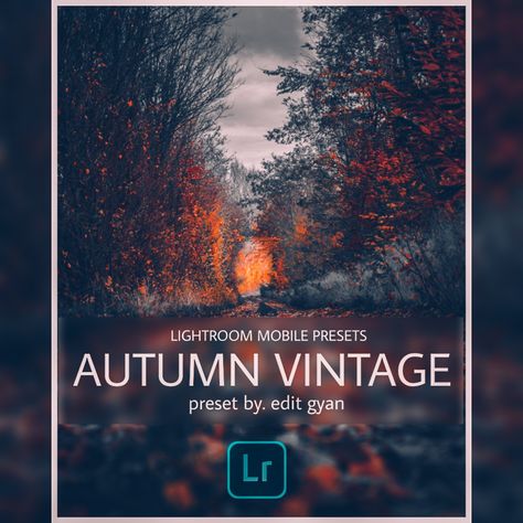 Dng Lightroom Presets Free, Lightroom Edit, Presets Lightroom Free, Moody Presets, Vintage Lightroom Presets, Lightroom Presets For Portraits, Kodak Gold, Professional Lightroom Presets, Adobe Lightroom Cc