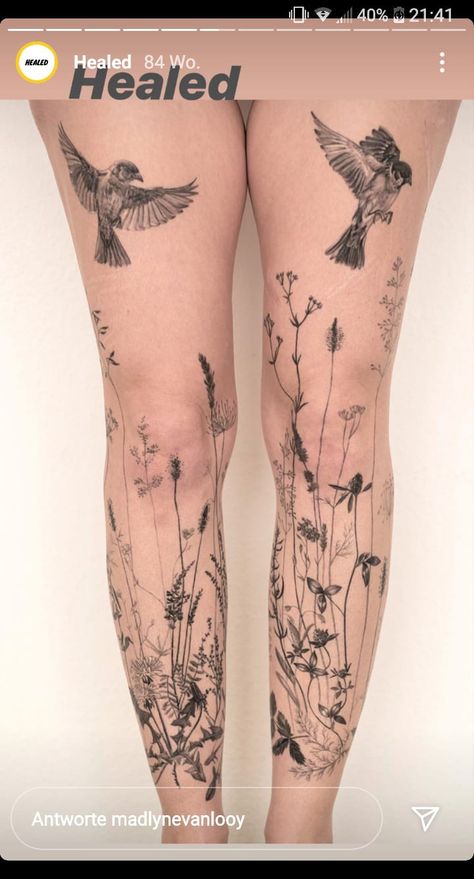 Tattoo Bein Frau, Flower Leg Tattoos, Floral Back Tattoos, Earthy Tattoos, Cuff Tattoo, Tattoos To Cover Scars, Rose Tattoos For Women, Literary Tattoos, Insect Tattoo