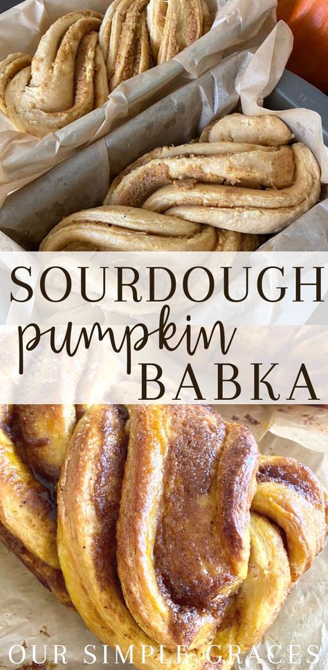 Pumpkin Sourdough Babka Recipe Autumn Equinox Desserts, Sourdough Thanksgiving Desserts, Sour Dough Bread Flavors, Pumpkin Sourdough Recipes, Sourdough Thanksgiving Recipes, Fall Sourdough, Sourdough Pumpkin Bread, Sourdough Babka, Sourdough Loaves