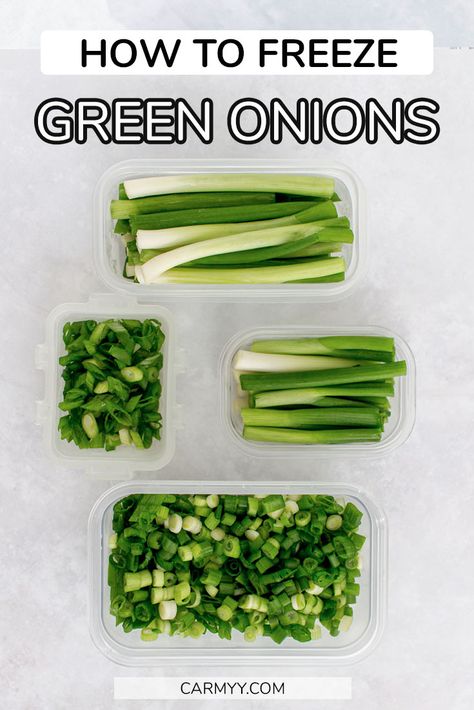 How To Freeze Fresh Onions, Canning Green Onions, How To Preserve Fresh Green Onions, Freeze Vegetables How To, Things To Make With Green Onions, Green Onion Uses, Recipes That Use Green Onion, How To Use Green Onions, Freeze Onions How To