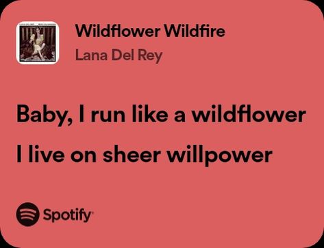 Wildflower Wildfire, Spring Mood, Lana Del Ray, Spotify Song, Lana Del Rey, Wild Flowers, Songs, Music