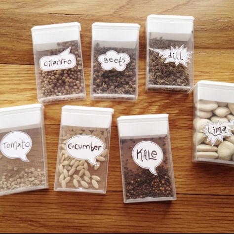 Tic-tac seed containers Save Seeds, Reuse Containers, Seed Storage, Diy Gardening, Seed Saving, Have Inspiration, Diy Garden Projects, Veggie Garden, Tic Tac