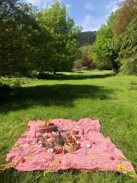 Seasons Aesthetic, Spring Bucket List, Picnic Date Food, Unique Date Ideas, Picnic Inspiration, Exam Time, Cottage Aesthetic, Picnic Birthday, Picnic Date